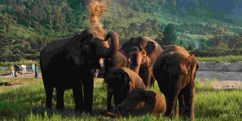 Thailand erleichtert die Einreise