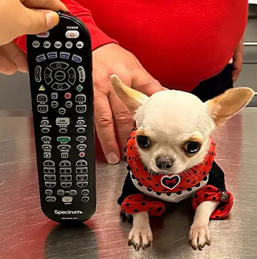 Guinness World Records