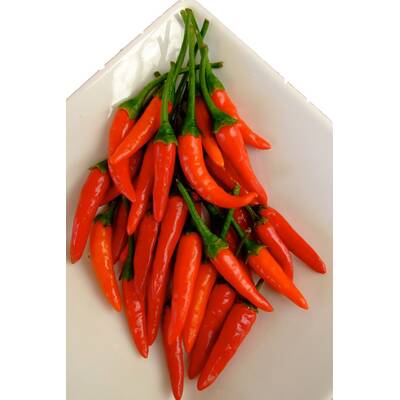 Müde sein und frieren geht gar nicht