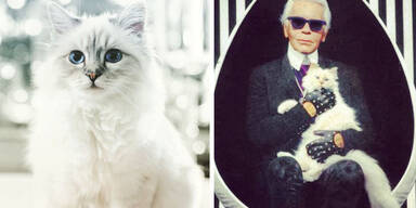 Choupette Lagerfeld