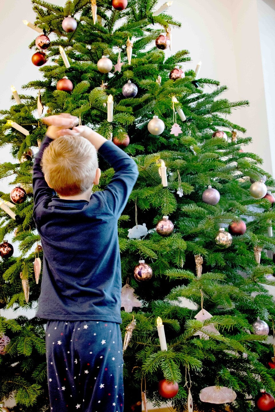 Darum sollten Sie SOFORT an Ihrem Christbaum riechen