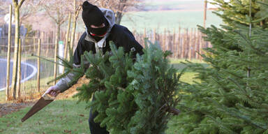 Christbaum-Dieb