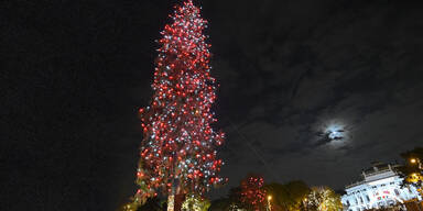 Jetzt leuchtet auch der Christbaum am Wiener Rathausplatz