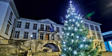 Christbaum wegen Kanzler-Besuch gefällt