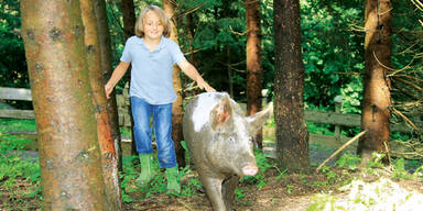 Bub (9) als Schweine-Retter