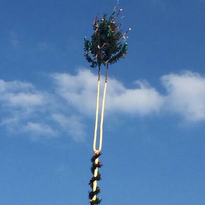 Maibaum in Auggenthal