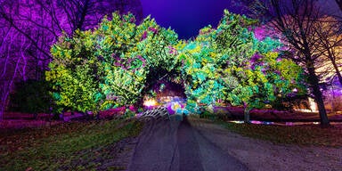 Illumina: Leuchtendes M&auml;rchen in Laxenburg g&uuml;nstiger erleben