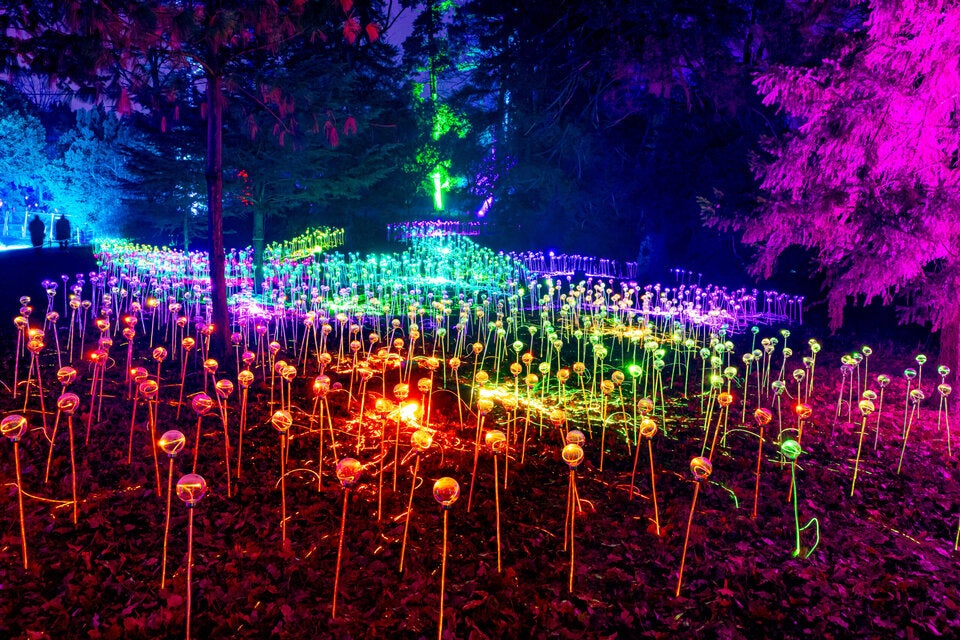 Finales Wochenende für Österreichs größten Lichtergarten