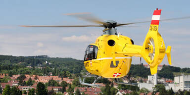 Lenker bei Unfall im Burgenland verletzt