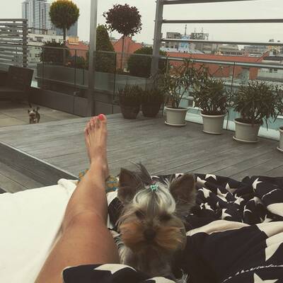 Die besten Bilder von Dominika Cibulkova