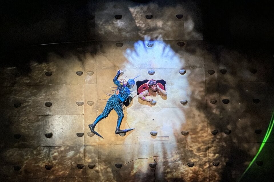 Cirque du Soleil: So tierisch ist die neue Show ''Ovo''