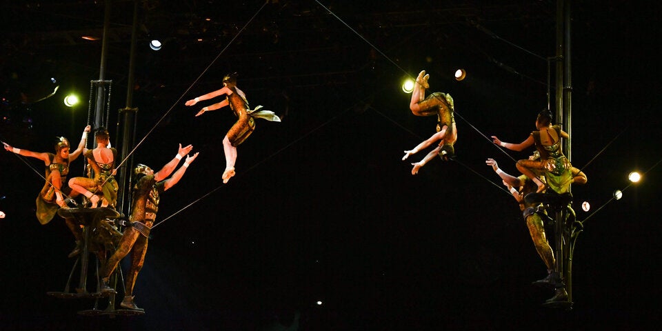 Cirque du Soleil: So tierisch ist die neue Show ''Ovo''