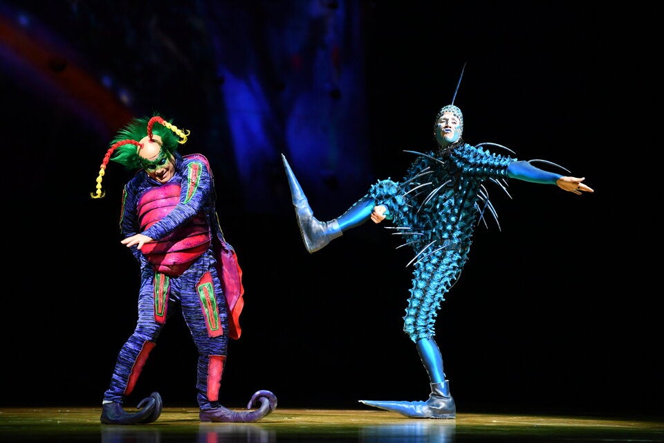 Cirque du Soleil: So tierisch ist die neue Show ''Ovo''