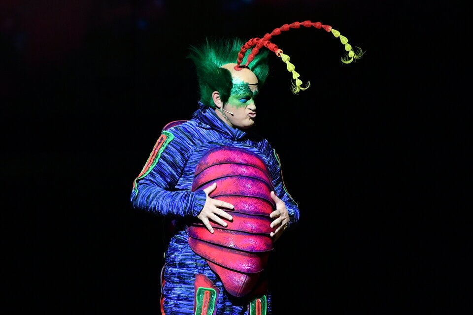Cirque du Soleil: So tierisch ist die neue Show ''Ovo''
