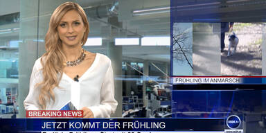 News TV: Chaos im Hypo-U-Ausschuss & Fr&uuml;hlings-Start