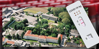 Corona Hirteberg.PNG