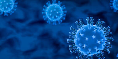 Coronaviren unter dem Mikroskop