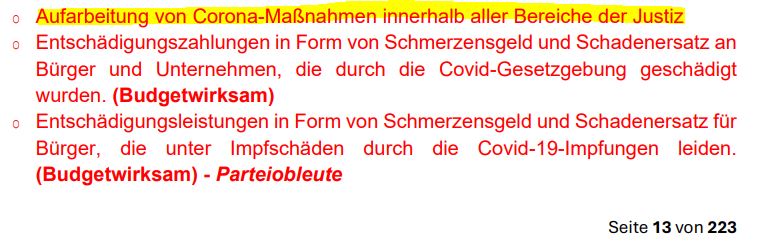 Protokoll-Leak: DAS sind die größten blau-schwarzen Aufreger