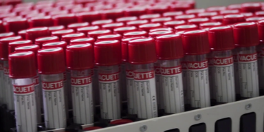 O&Ouml;-&Auml;rztekammer-Chef: ''Testen war nicht der richtige Weg''