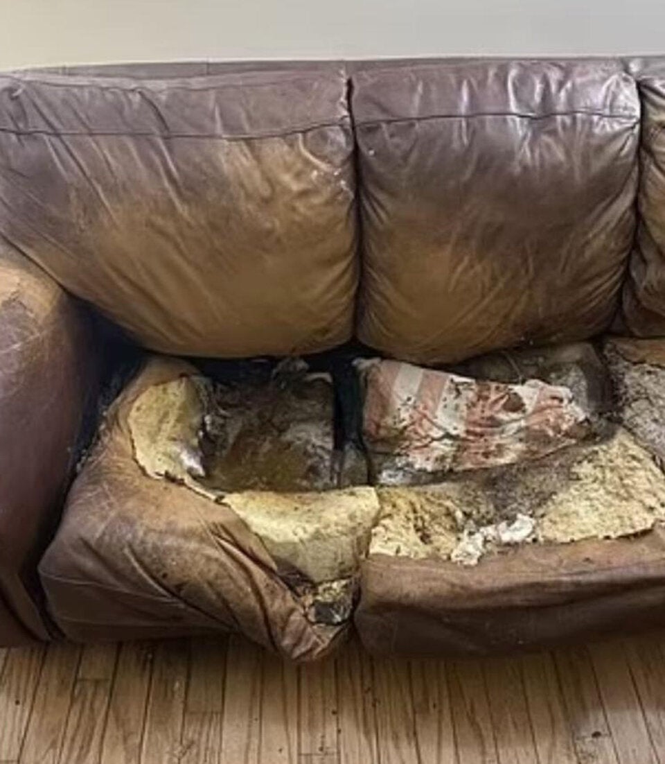 Eltern zwingen Tochter, 12 Jahre auf Couch zu leben