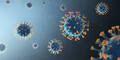 Corona-Virus