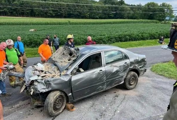 Junction Fire Company