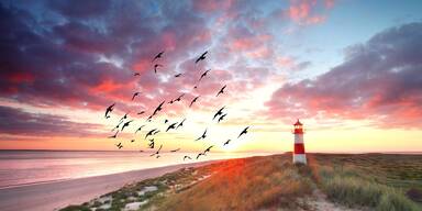 Naturschauspiele der Extraklasse