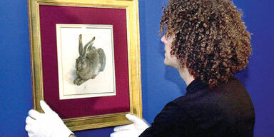 Run auf Dürers Star-Hasen