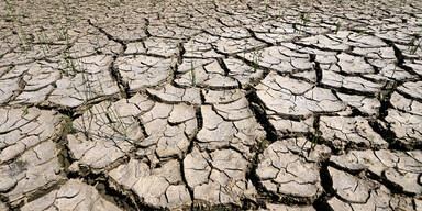 Dürre-Alarm: Österreich geht das Wasser aus
