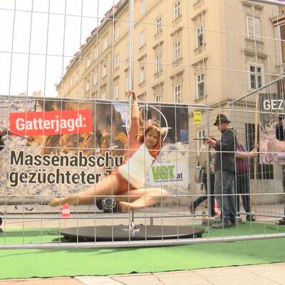 Poledance gegen Gatterjagd