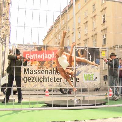 Poledance gegen Gatterjagd
