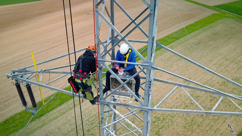 Wie Artenschutz in luftiger Höhe funktioniert, zeigt eine Kooperation der Vetmeduni Wien mit der Netz NÖ.