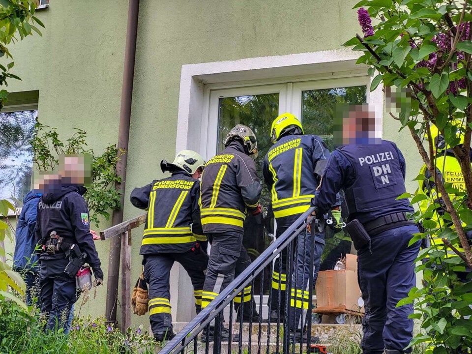 Schäferhund versperrt Zugang