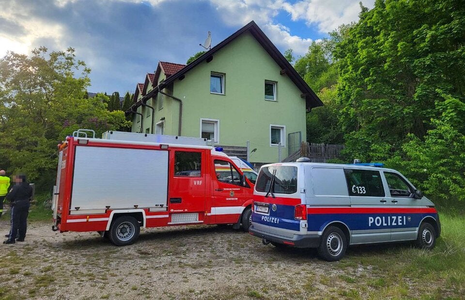 Schäferhund versperrt Zugang