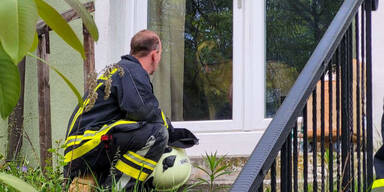 Sch&auml;ferhund versperrt Zugang