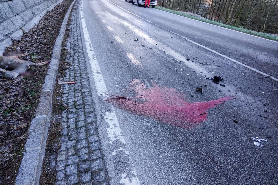 Unfall mit Reh