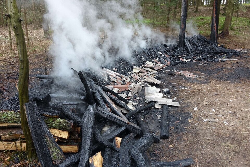 Feuerwehr verhindert Waldbrand bei Losau