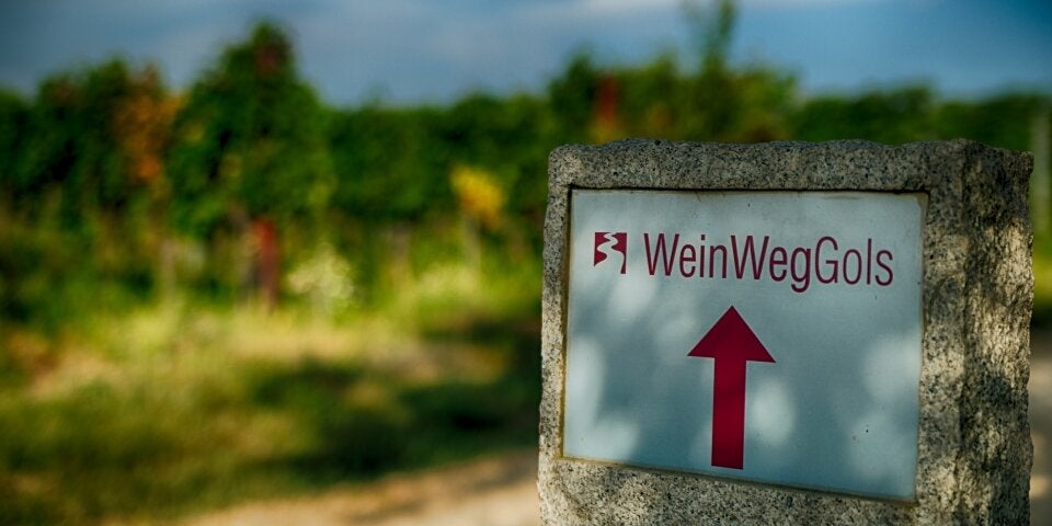 Weinweg Gols