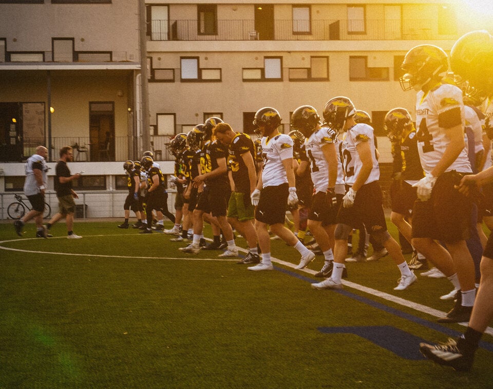 Vienna Knights