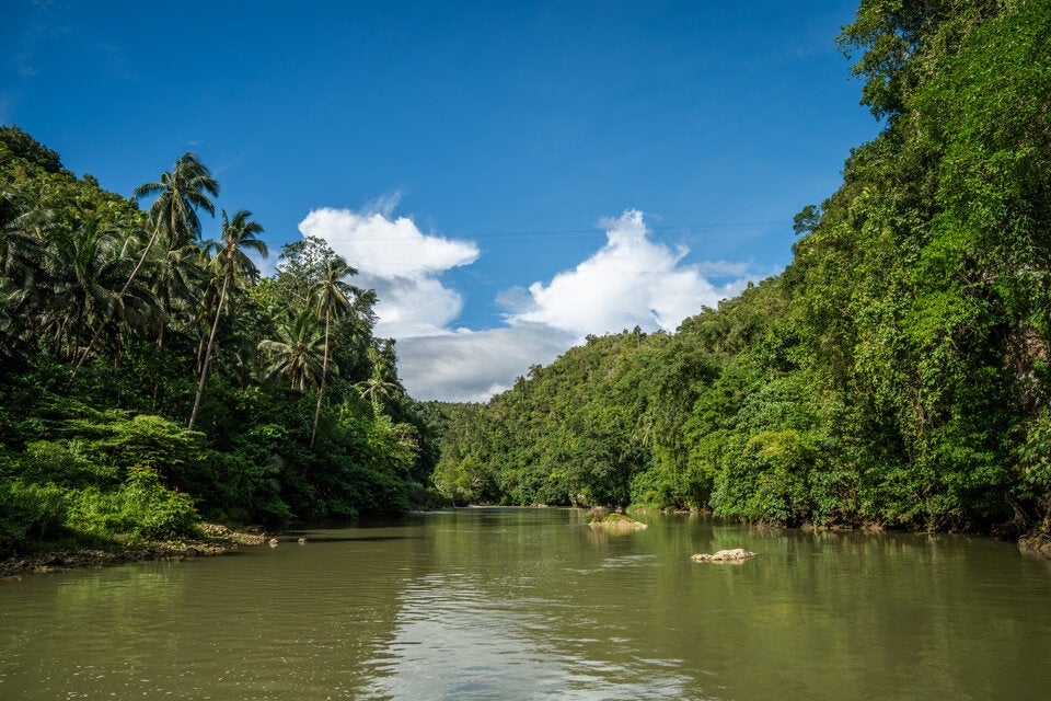 Loboc River auf Bohol. Eine Bootsfahrt auf grün schimmerndem Wasser durch üppige Dschungellandschaft fühlt sich unwirklich still an.