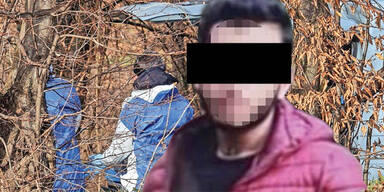 Wiener NEustadt Mord Verd&auml;chtiger