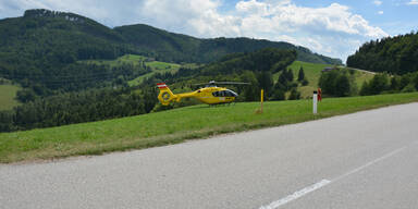 Kleinbus kracht gegen Baum: Ein Toter in Kärnten 