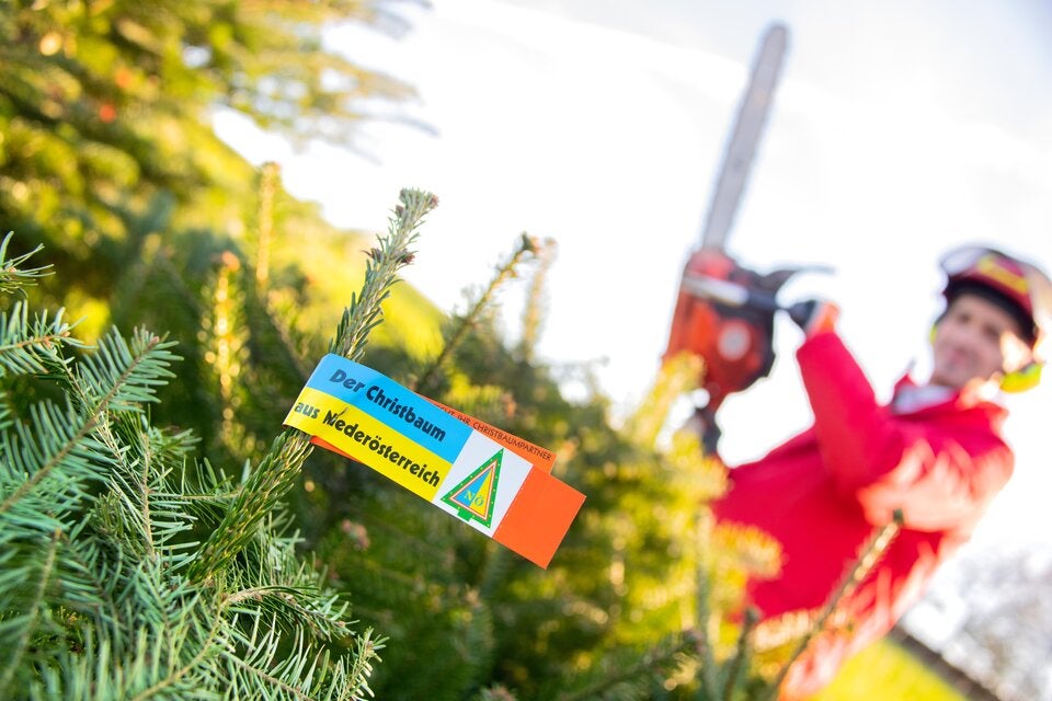 Gelebte Nachhaltigkeit auf NÖ Christbaumhöfen.