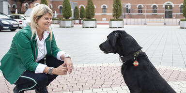 Welthundetag: Tanner empf&auml;ngt Einsatzhund "Cowboy"