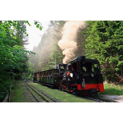 9 Plätze - 9 Schätze: Die Vorauswahl