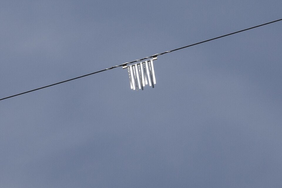 Danube Free Sky - Unsere Tiere - Vogelsichere Hochspannungsleitungen - Bild 4