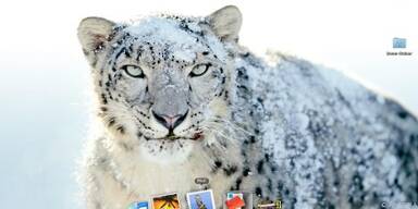 Das neue Betriebssystem verspricht Verbesserungen