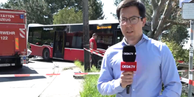 David Bus crash.PNG
