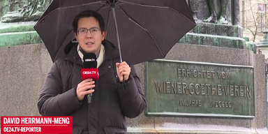 David Herrmann Meng.png