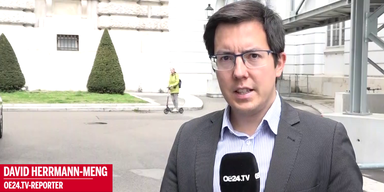 David Herrmann Meng.png